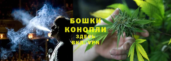 круглые Вяземский