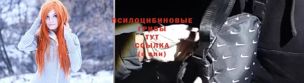 круглые Вяземский