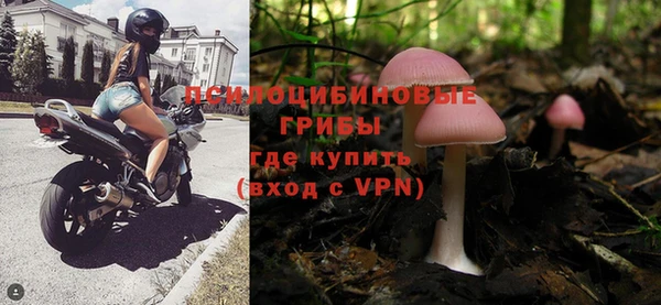 apvp Вязники