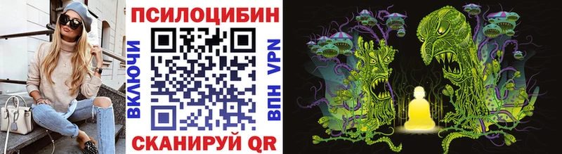 Псилоцибиновые грибы Psilocybe  где купить наркоту  Луза 